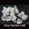 Zirconia Crowns & Bridges